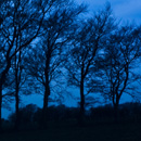 Panoramic